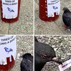 별말없음(snippet)(In Debussy Steez)