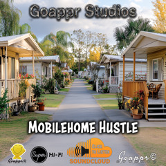 Mobile Home Hustle