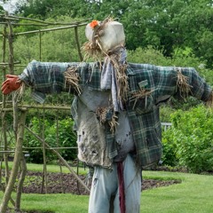 I WANT IT SO I GET IT A LONESOME SORROW MIX PROD WEIKOO