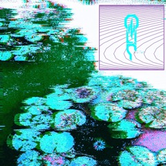 ՋՐԱՇՈՒՇԱՆ / Water Lily