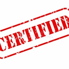 Vernac - Certified Ft Renzo BackWood