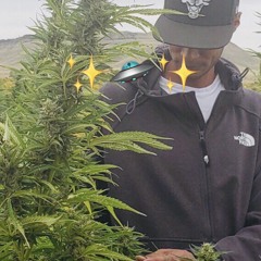 Gotta Love This Life(prod by. Ric & Thadeus)