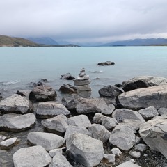 Where the hell is my Husband?