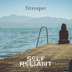 Self Reliant (Pop/Boom-Bap) Type Beat