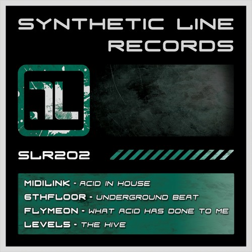 SYNTHETIC LINE RECORDS - SLR202