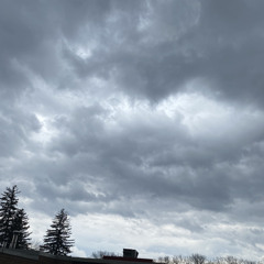 Vince ( Wvstend + Miadas )