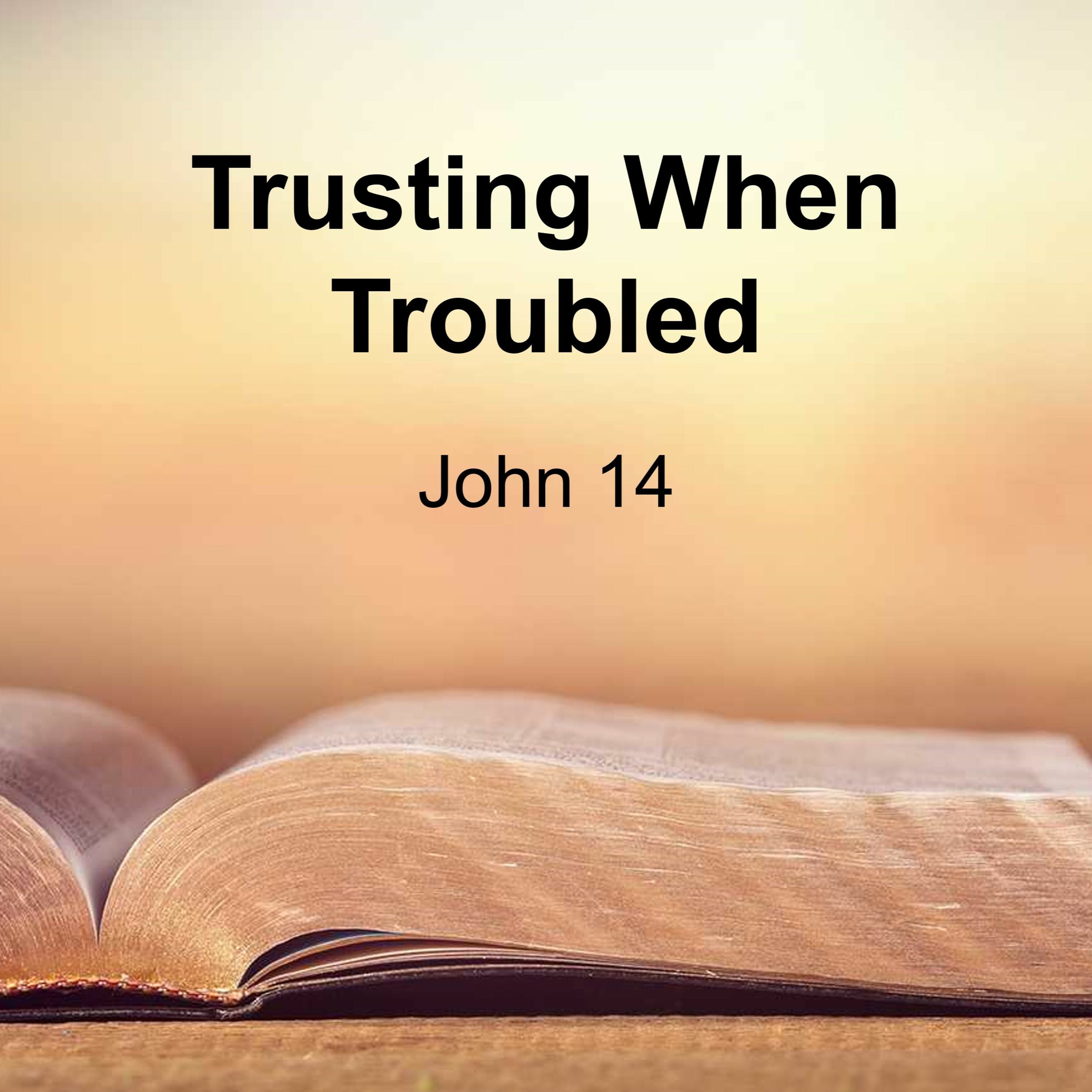 Trusting When Troubled episode artwork