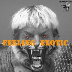 Feeling Exotic (Prod. Lil Synthetic)