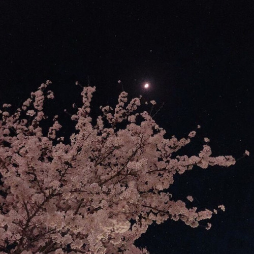 Mir geht’s gut :): - Ayliva