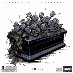SNXR X NøDREAMS - TOGRIS (Prod. 808Broly)