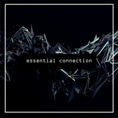 Essential Connection II
