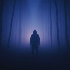 I`m Invisible to You ✦8 | Symphonic Rock - FV