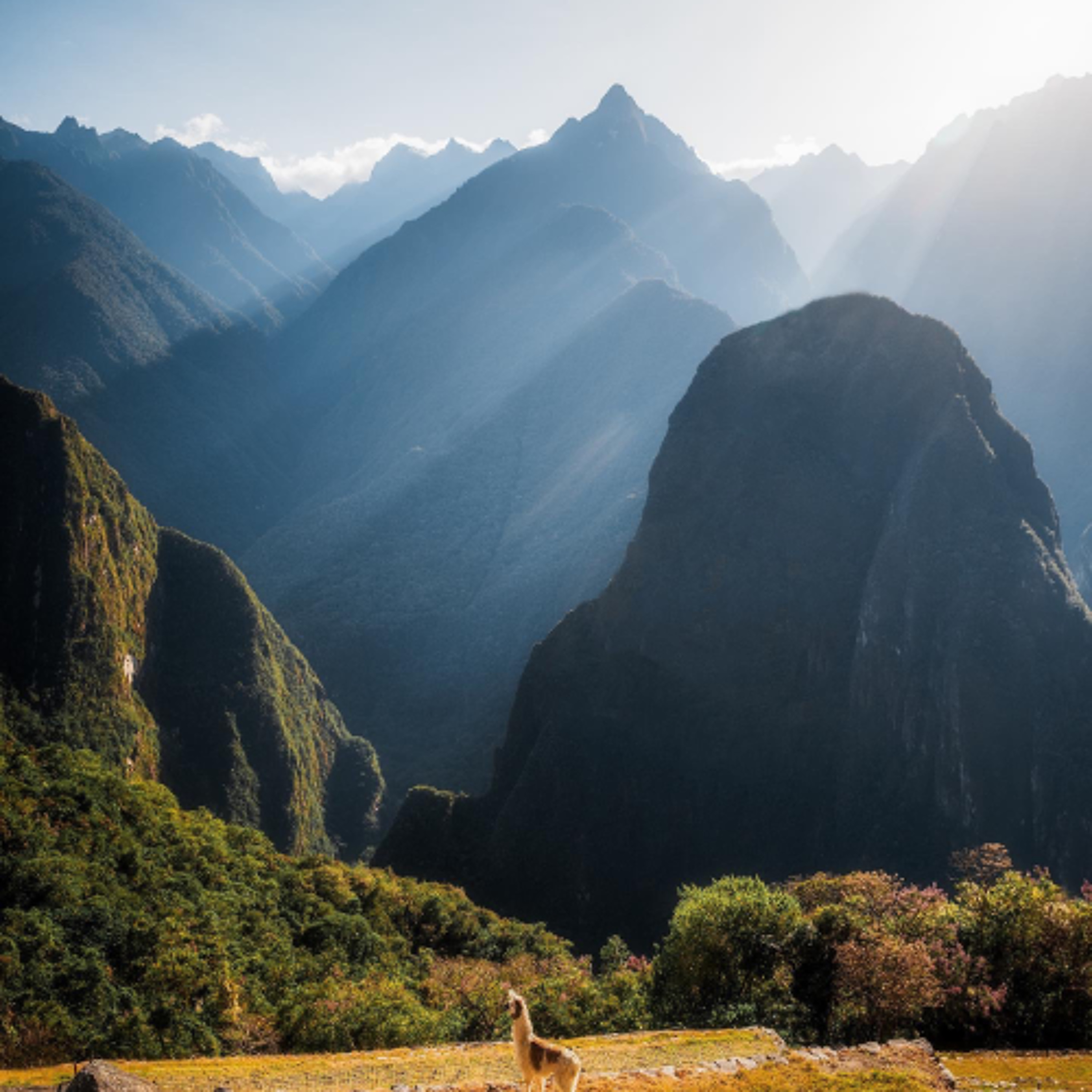 [포도나무와 무화과나무 아래로 모이리라]슥3:1-10 episode artwork