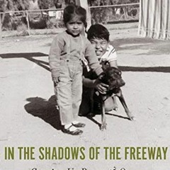 READ EPUB KINDLE PDF EBOOK In the Shadows of the Freeway: Growing Up Brown & Queer by  Lydia R. Oter