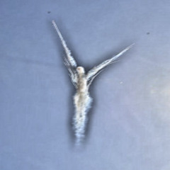 Paranoid Angels 001 w/ Jessie Onze (24.11.25)