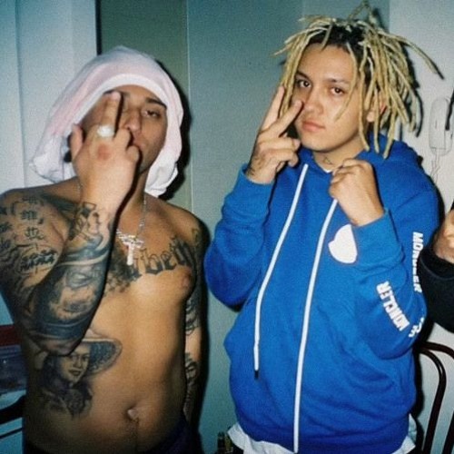 HARRY NACH - BOTELLAS GOLDEN SPEED UP