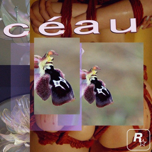 Ceau