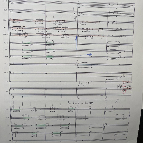 we walk in the sun in hundreds (2022) for orchestra [READING EXCERPT]