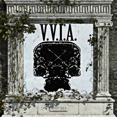 MMP061 - V.V.I.A. - META MOTO PODCAST