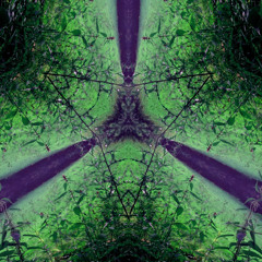Final gathering of the tranceformers (DJ-Set)