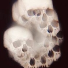 Crash out Prod. (sned)