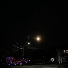 Fuckyoethnicity freestyle (kdotremix)