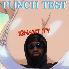 Punch Test 003