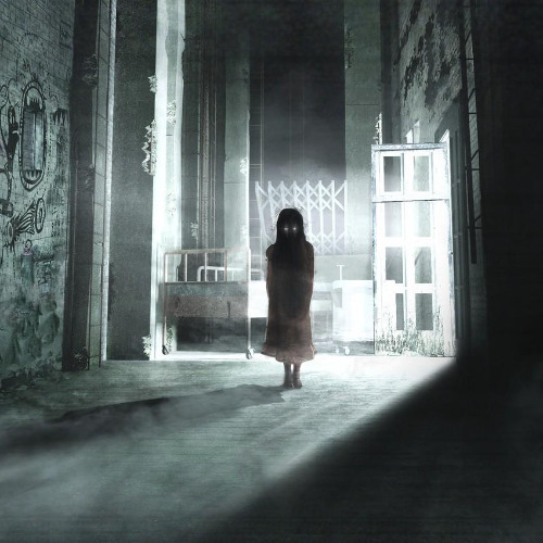 HARDGATORZ - IN THE SHADOWS (2025 HARDSTYLE)