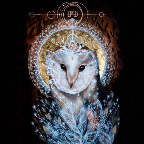 I.M.D - 'Nocturna' (single)