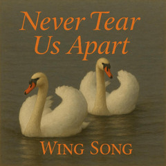 Never Tear Us Apart