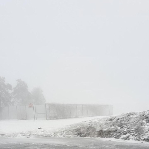 if the mood is right w DLA (prod twontwon)