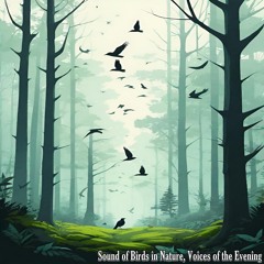 Sound of Birds in Nature, Joy in the Air