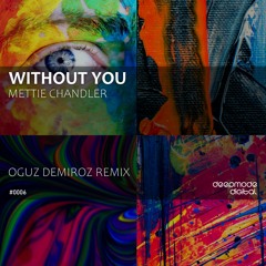 Without You (Oguz Demiroz Remix)