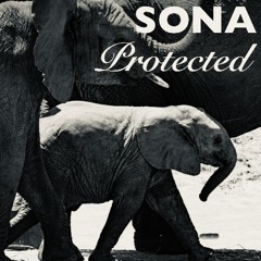 Protected (PAFKÜT JNGLmix)