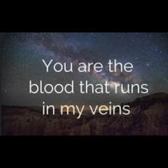 In My Blood, In My Veins