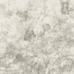 Making Plans for Nigel（Cover）/ おわりからはじまり（Owarikarahajimari）