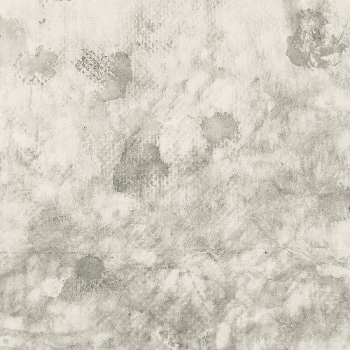 Making Plans for Nigel（Cover）/ おわりからはじまり（Owarikarahajimari）