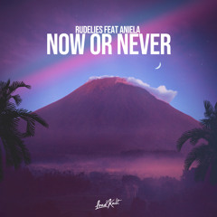 Now or Never (feat. ANIELA)