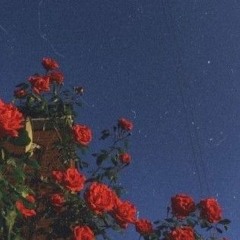 I'm in love (cover)