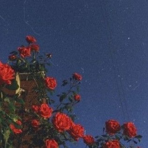 I'm in love (cover)