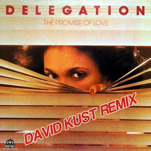 Delegation - The Promise Of Love (David Kust Radio Remix)