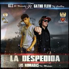 La Despedida Ft. Ozz El Nomada (Prod. By Erlin Urbano & XF Company Records)