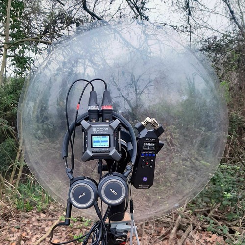 ZOOM H1e Essential Vs. ZOOM F3 - GreatTit Blackcap Songs