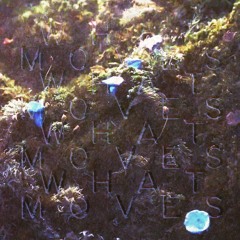 LA Priest - What Moves (Kilometers Davis Remix)