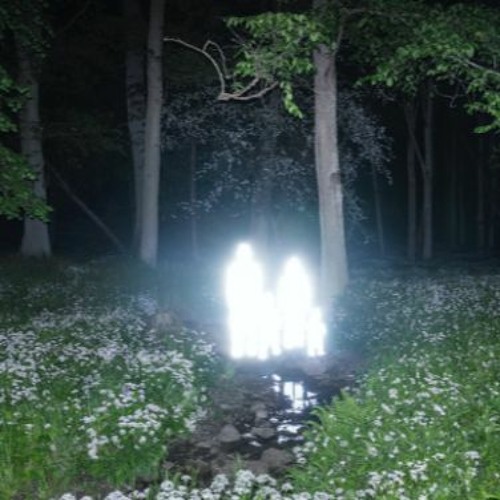 *:･ﾟ✧*:･ﾟ*:･ﾟ✧*:･ﾟ*:･ﾟ✧*:･ﾟ*:･ﾟ✧*:･ﾟ