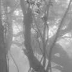 Hypnagogic Memories 4 7