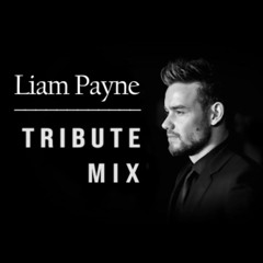 Best Of One Direction Mashup Mix | Liam Payne Tribute