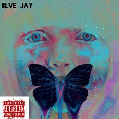 Blve Jay - Not Important