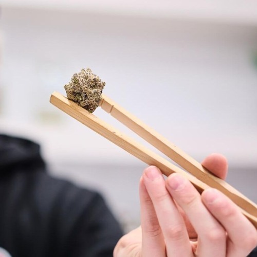 chopsticks trappin .demo