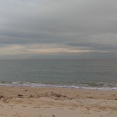 Ready Or Not Stranger